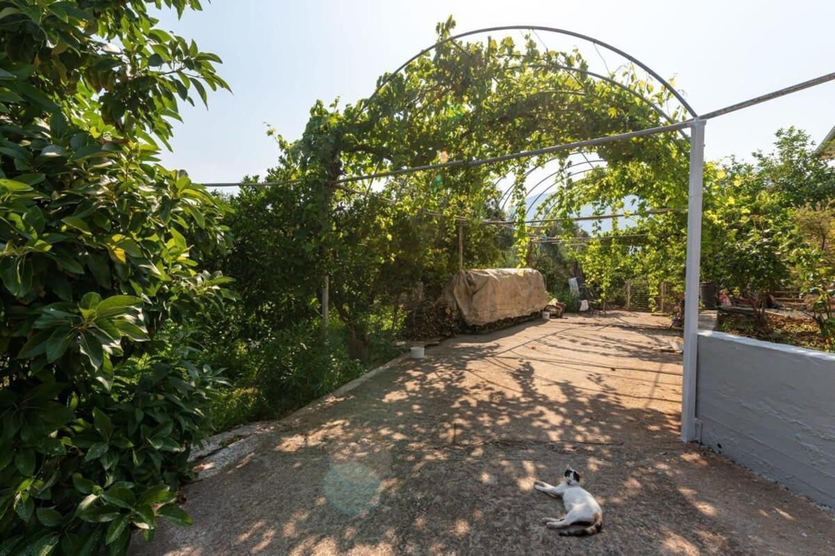 Serene Seaside Bliss - Lush & Secluded Garden Oasis Kalamata Exteriér fotografie